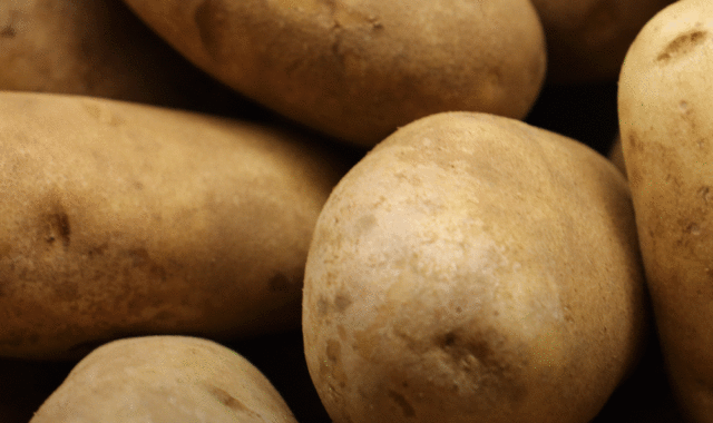 Close up of Russet Potatoes