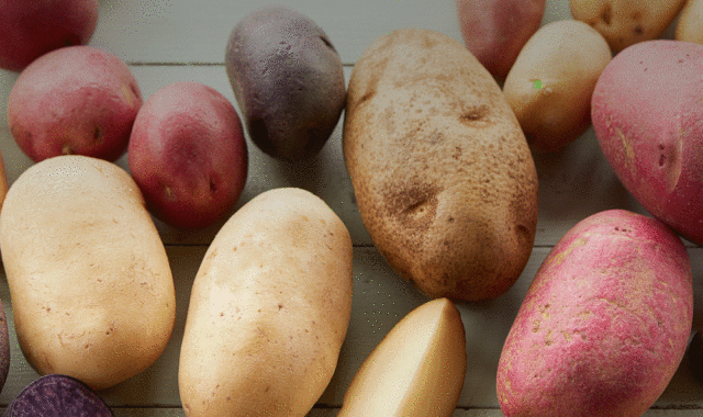 A variety of fresh potato types spread out on a table