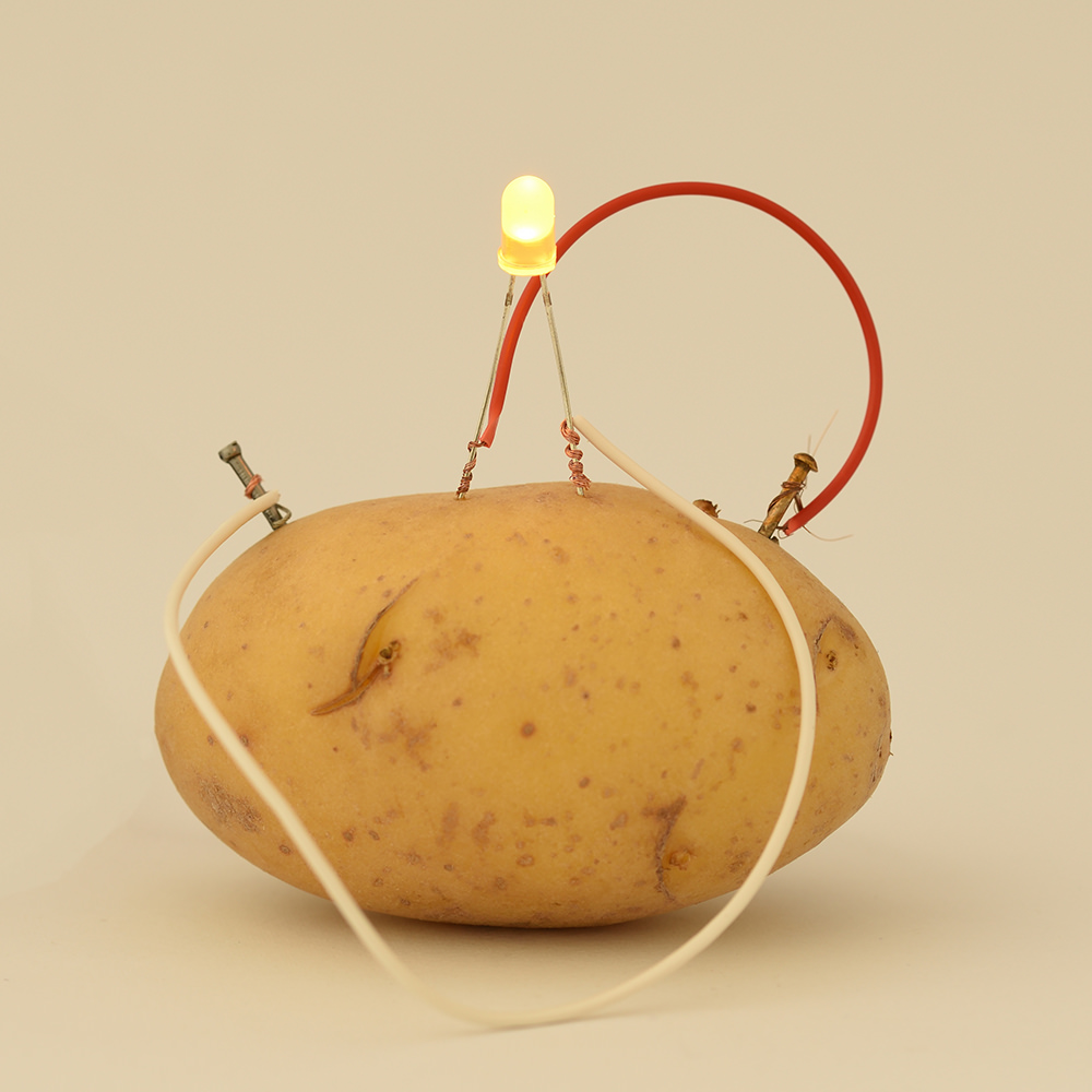 Gentage sig ventil udstødning Potato Fun - Power | Potatoes USA