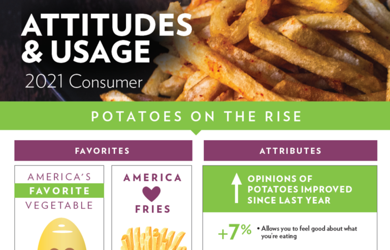 2021 Attitudes and Usage Summary - USE