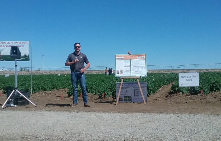 PVY demonstration plot trial in Washington on June 23, 2022, drew crowds of growers and crop consultants to see symptoms of three different strains of the virus in more than 20 potato cultivars.