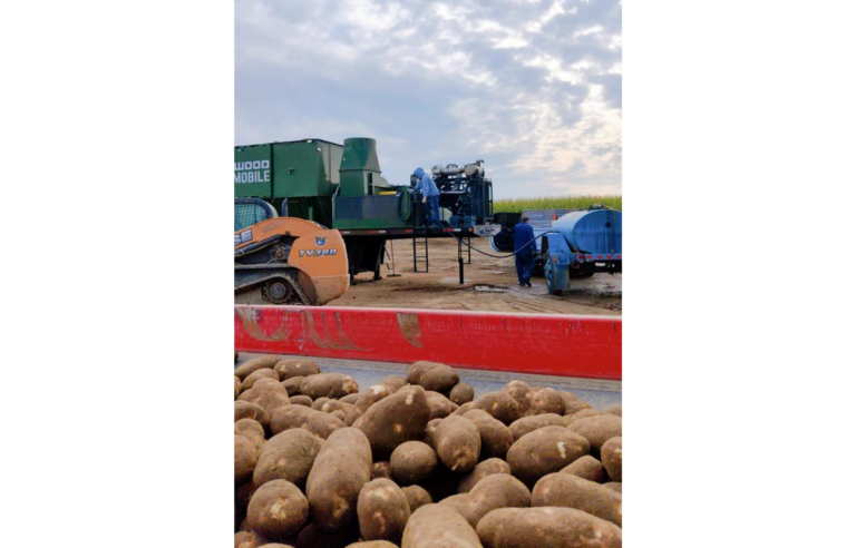 Harvesting potatoes at Schoonover Farms