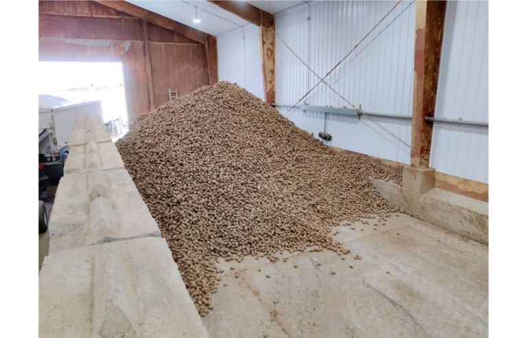 Potato storage shed at Schoonover Farms